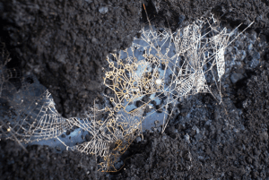 nena_untitled (crown) detail-1