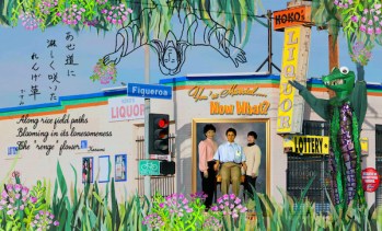 kokos_compcollage600